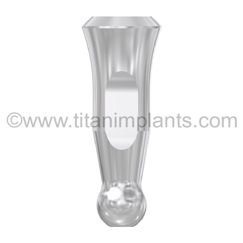 Implant Analog