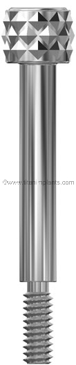 Guide Pin 22mm compatible with Biomet 3i external hex All platforms